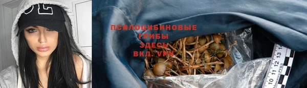 прущие крисы Елизово