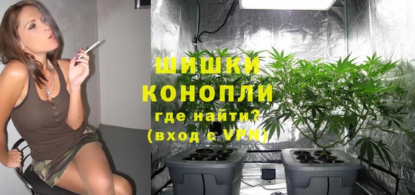 не бодяженный Елабуга