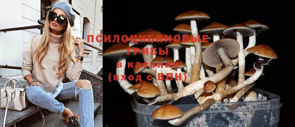 прущие крисы Елизово