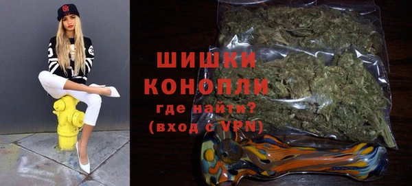 эйфоретик Ельня