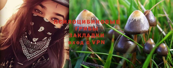 прущие крисы Елизово