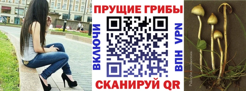Псилоцибиновые грибы прущие грибы  Купить закладки  Юрюзань 